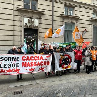 “Basta regali ai cacciatori”: ambientalisti a salvaguardia di due specie in via d’estinzione  FOTO E VIDEO