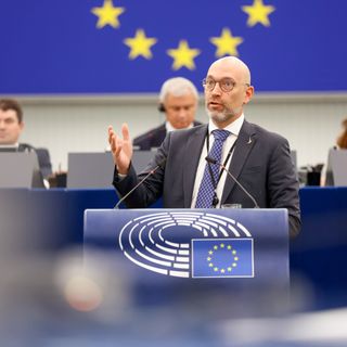 Ue apre alla modifica dello status dei lupi: da specie &quot;strettamente protetta&quot; a &quot;protetta&quot;