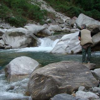Pesca, la Regione chiede deroga al divieto di immissione di trote fario e iridee