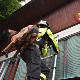 Dal Vco in Francia per un'esercitazione internazionale dei Vigili del fuoco