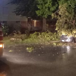 Oltre 30 richieste d'intervento ai vigili del fuoco per il maltempo delle scorse ore