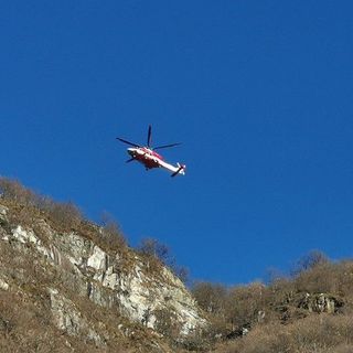 Calasca, capre in difficoltà salvate dai Vigili del fuoco
