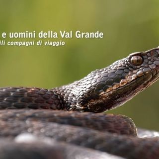 Un successo il documentario &quot;Serpenti e uomini della Val Grande&quot;
