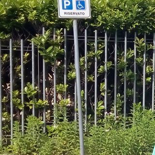 Sono spesso occupati gli stalli per disabili a Villadossola