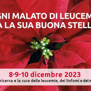 Stelle di Natale per la Ricerca illuminano l'Ossola