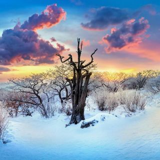 Oggi è il 21 dicembre, solstizio d’inverno: è il giorno più corto dell’anno