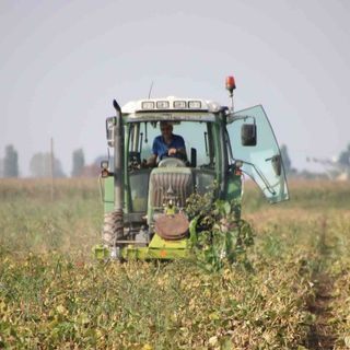 Siccità e caro energia, agricoltori allo stremo: &quot;Stop a rate dei mutui, dateci finanziamenti ad hoc&quot;