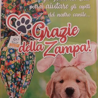 Amici del Cane, al via le prenotazioni per le uova di Pasqua