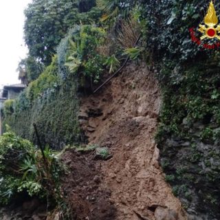 Maltempo, albero cade sulla statale 337 a Druogno: intervengono i vigili del fuoco