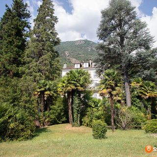 Castagnata a Preglia nel parco di Villa Renzi