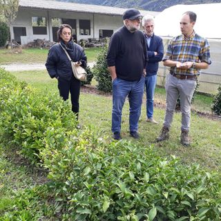 Ad Alessandro Zacchera il premio nazionale Bandiera Verde Agricoltura