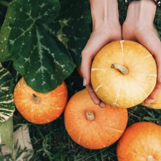 I cinque colori del benessere di frutta e verdura (parte 1)