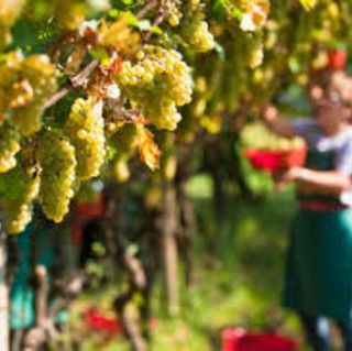 Immagine di repertorio