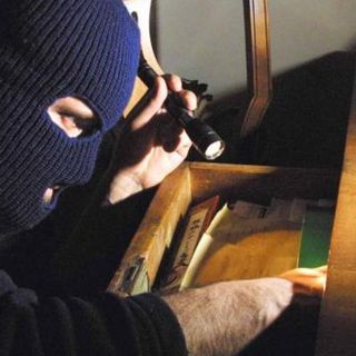 Tempo di vacanze, ma anche di topi d'appartamento: cosa fare e non fare prima di partire
