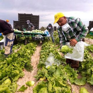"Il Piemonte può essere modello contro lo sfruttamento lavorativo”