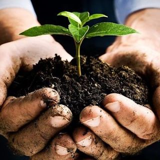 Confagricoltura Piemonte: "Infortuni sul lavoro in calo. L'agricoltura in prima linea nella difesa dei suoi lavoratori”