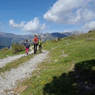 In Piemonte nei primi sei mesi del 2025 presenze in crescita del 5,3%