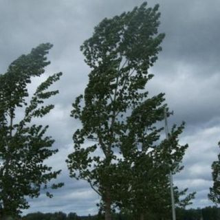 Ambiente, in Piemonte nasce l’Osservatorio Regionale sui cambiamenti climatici