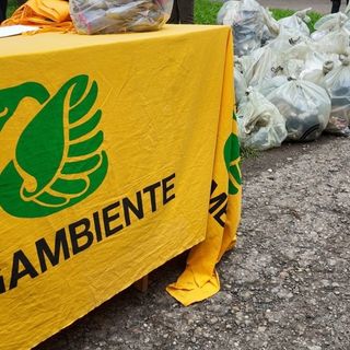Immagine di archivio di rifiuti recuperati da Legambiente