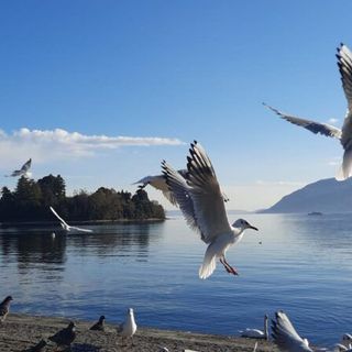 Pochissima pioggia prevista, rischio siccità per tutto febbraio