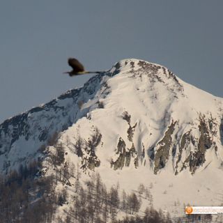 Qualità dell'aria accettabile nel Vco, situazione 'critica' nel vicino Vallese