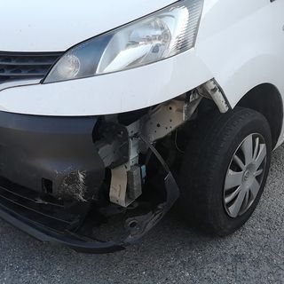 Cervo investito a Bieno, nell'incidente coinvolti un'auto e un furgone