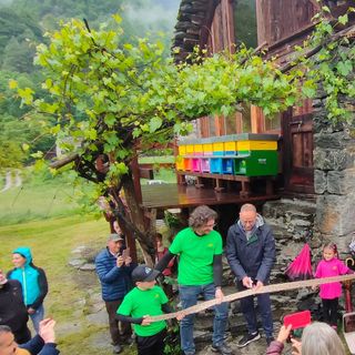 Inaugurato il primo apiario del benessere del Vco