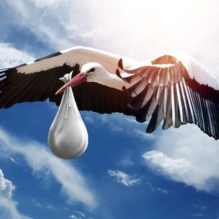 In Ticino nel 2020 più decessi che nascite