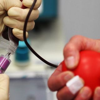 Manca personale: a rischio le donazioni del sangue. Icardi: &quot;Stiamo attivando un progetto pilota&quot;