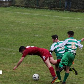 Piccinini: ''Un buon campionato: i numeri parlano''