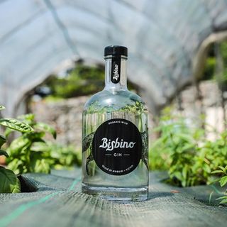 Anche il Ticino ha il suo gin: è ispirato al monte Bisbino