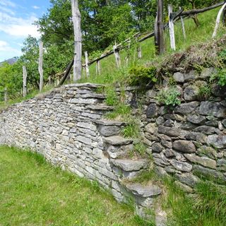 Terrazzamenti alpini patrimonio da valorizzare e conservare