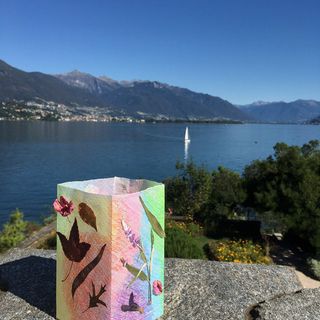 Ticino, una stagione da incorniciare per le Isole di Brissago