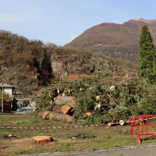 Piazza Lecomte nel novembre 2020, dopo il taglio degli alberi pericolanti