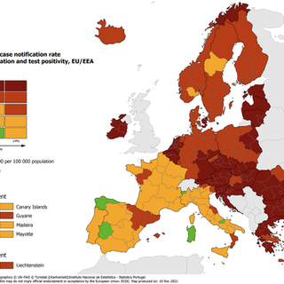 Mappa del contagio in Europa: il Piemonte lascia il verde