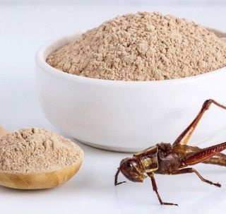 Grilli e farine, siete disposti ad acquistarli e consumarli?
