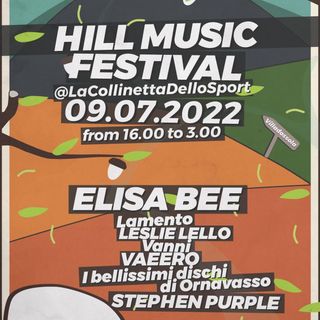 Hill Music Festival: musica cibo e birra alla Collinetta dello Sport di Villadossola