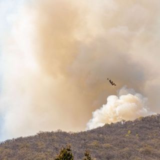 Uncem: “Prevenzione incendi si fa con gestione attiva delle foreste secondo strategia nazionale”