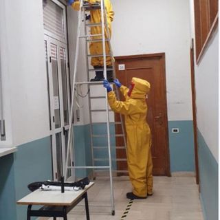 Bonifica e disinfestazione dagli insetti pericolosi: le indicazioni dei vigili del fuoco