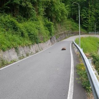 Upi, Ance e Confindustria contro i tagli sulla sicurezza stradale: "Le province vengono messe in difficoltà, serve tavolo di crisi con il Governo"