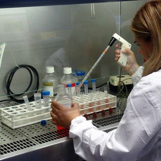 Svizzera, firmati quattro contratti per lo sviluppo di farmaci contro il Covid