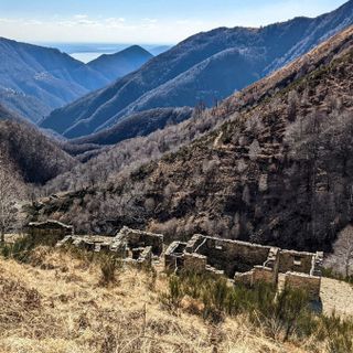 Parco Val Grande, escursione fino ai castagni secolari della valle Piaggia