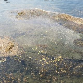 Siccità: necessario gestire razionalmente le risorse idriche