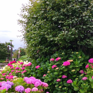 Stresa Festival: tra i protagonisti di quest'anno l’Orchestra dell'Accademia Nazionale di Santa Cecilia
