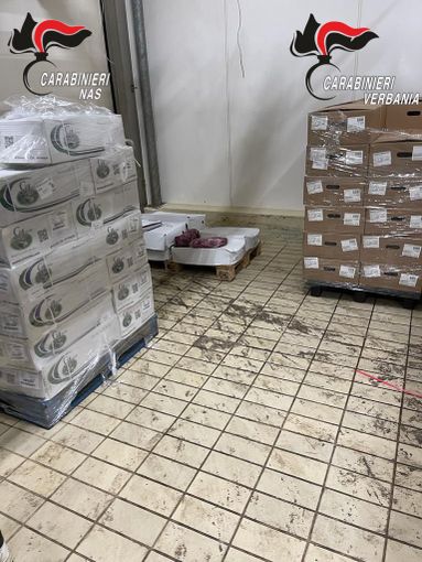 In un salumificio industriale del Vco scoperti 9000 chili di carne mal conservata e scaduta da 5 anni i In un salumificio industriale del Vco scoperti 9000 chili di carne mal conservata e scaduta da 5 anni i