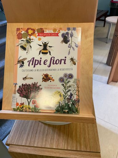 L'arte per sensibilizzare sulla tutela delle api