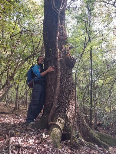 A Biella arriva il Forest Bathing, l'incontro ravvicinato con la natura a due passi dalla città
