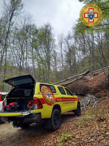Colpito da una pianta in alta Valle Bognanco, ferito un 77enne Colpito da una pianta in alta Valle Bognanco, ferito un 77enne