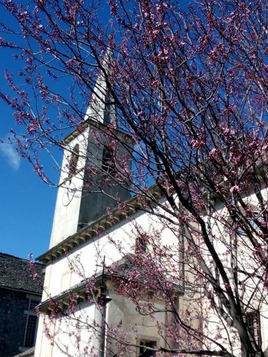 Festa di San Michele ad Albogno: quattro giorni di tradizione, musica e sapori
