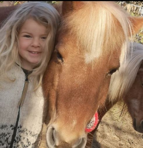 Dopo l'alluvione sono ripartite le attività del Ranch Acero Rosso